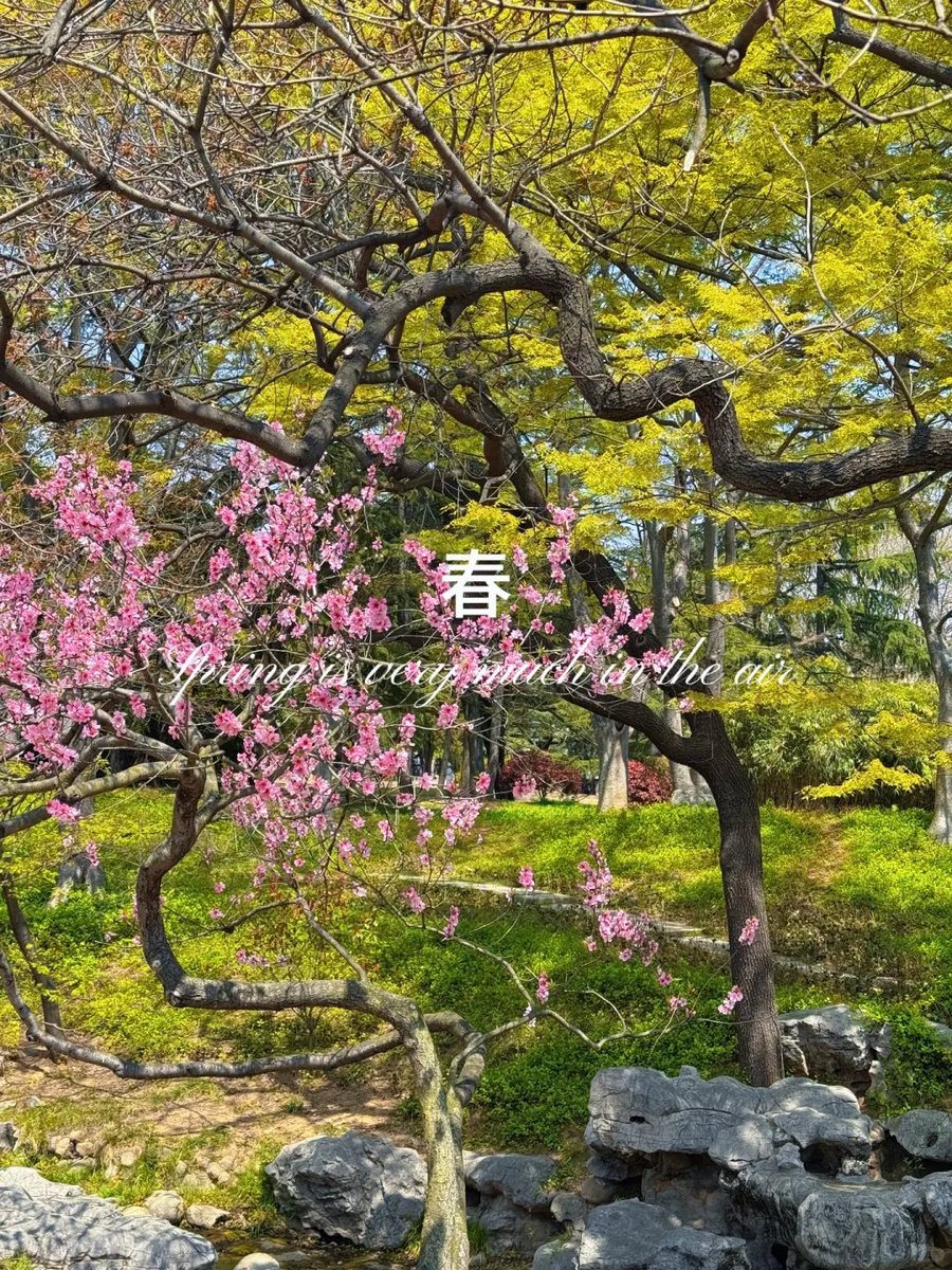 Visit Qingdao tweet media