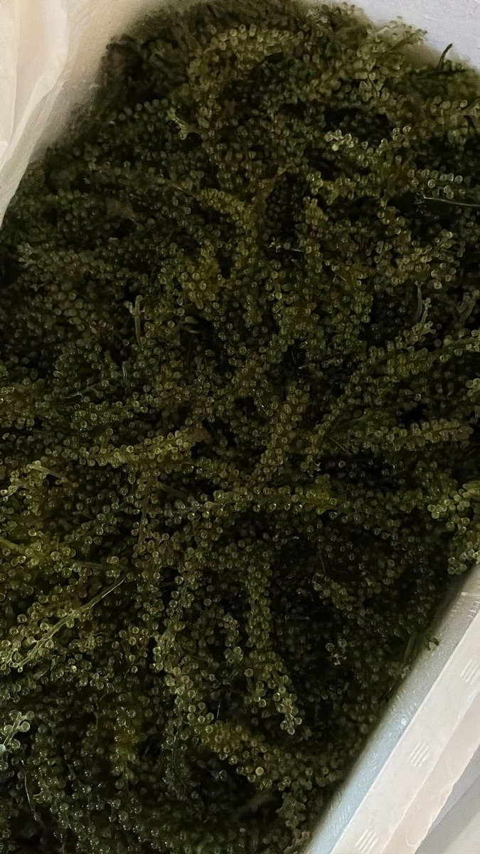 3rd ROOM（サードルーム） tweet media