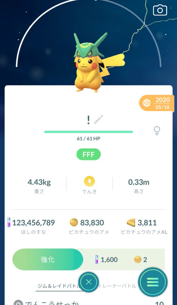 gomaGGchannel🦭 tweet media