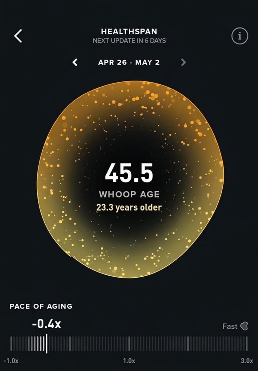 B e a r m a x x e r tweet media