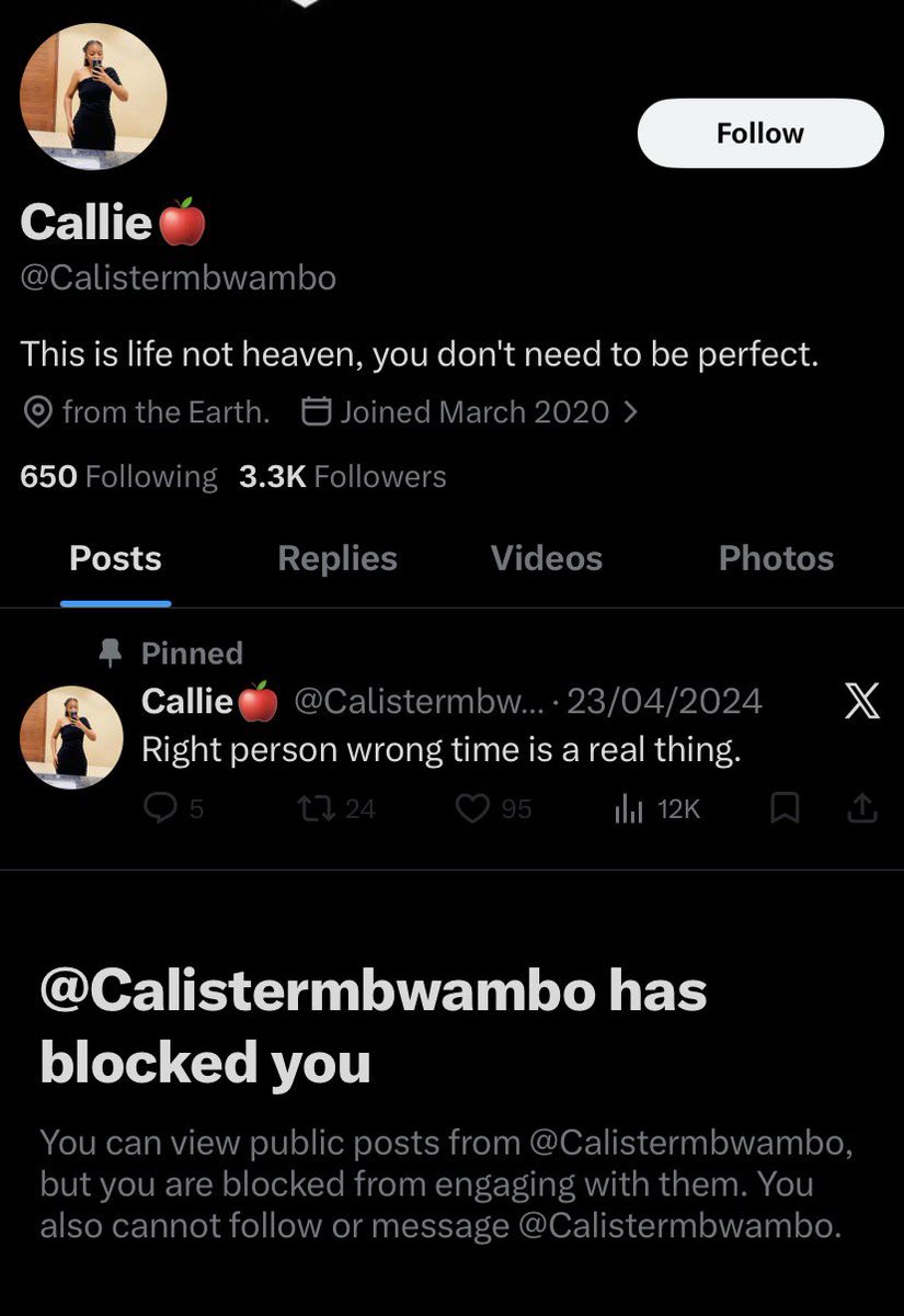 MUITALIANO 🔋 tweet media