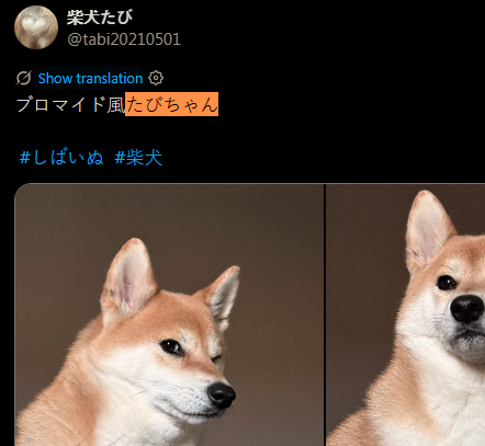09j8wu346bg2's tweet photo. YOU DID THE WRONG FKING JAP NAME.

CHECK THE FKING OWNERS NAME

PROPER NAME IS "たび" not "旅ち"

SHOULD BE たびちゃん 

shown in tweet also

https://t.co/Pv4CECqT1Q

CA: BuBo99HzfZye9sp8ygvB2SPT7wLbdST16EhDg3mJkBqr https://t.co/dcW3y2IwCA