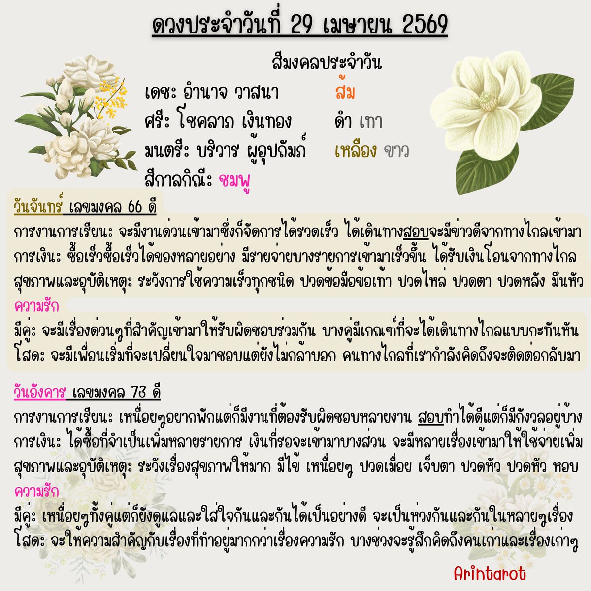อรินทร์ ไพ่ยิปซี tweet media