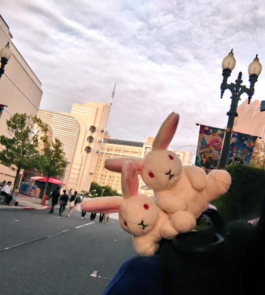 こずえ tweet media