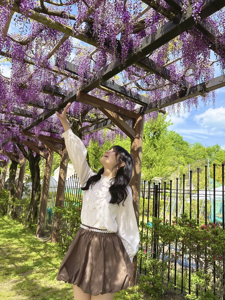 和久田朱里 tweet media