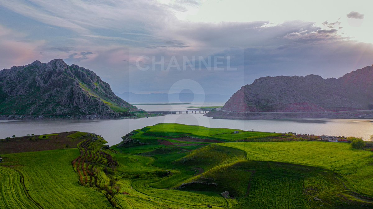 Channel 8 فارسی tweet media