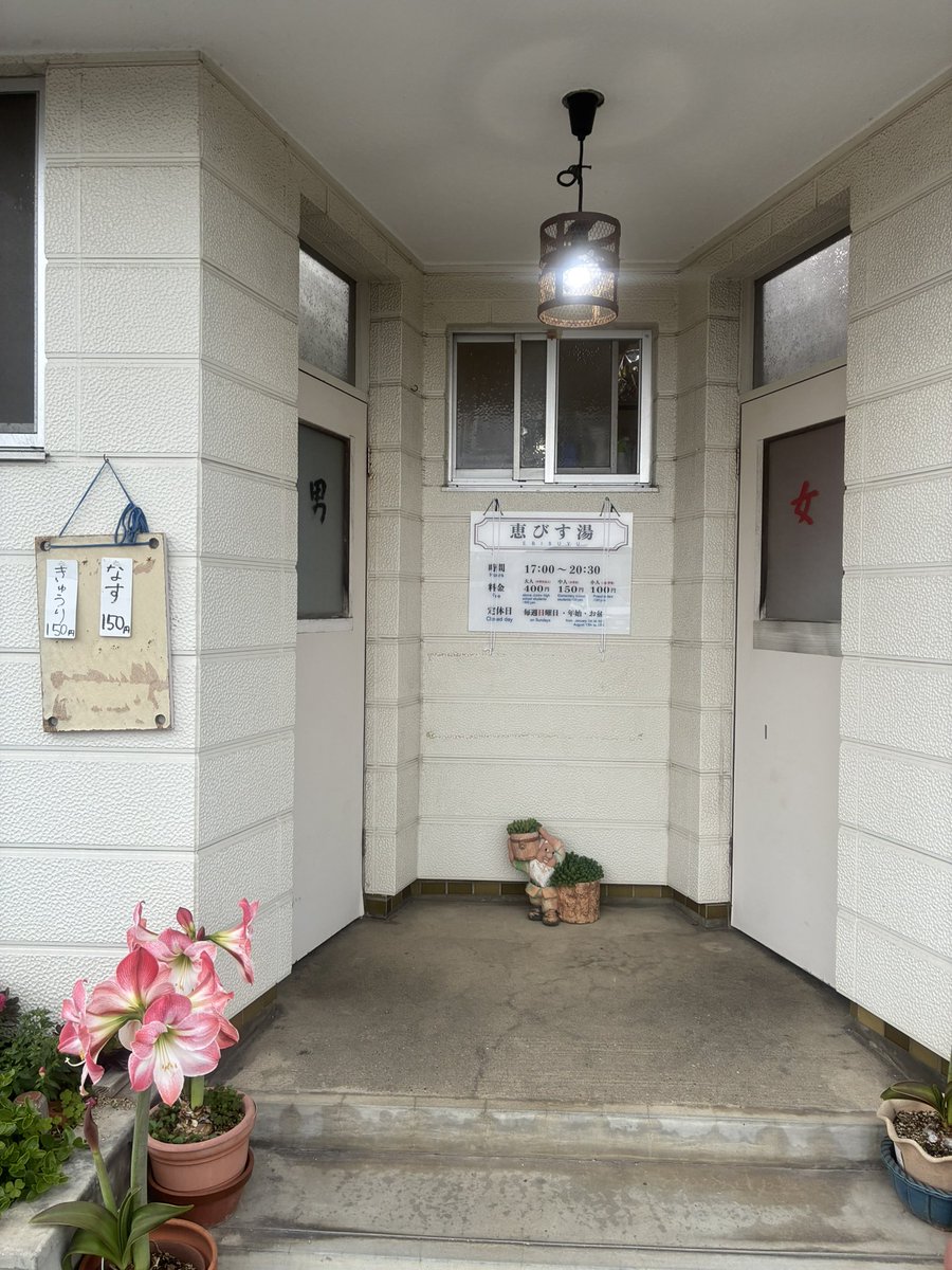 にゃんこ先生 tweet media