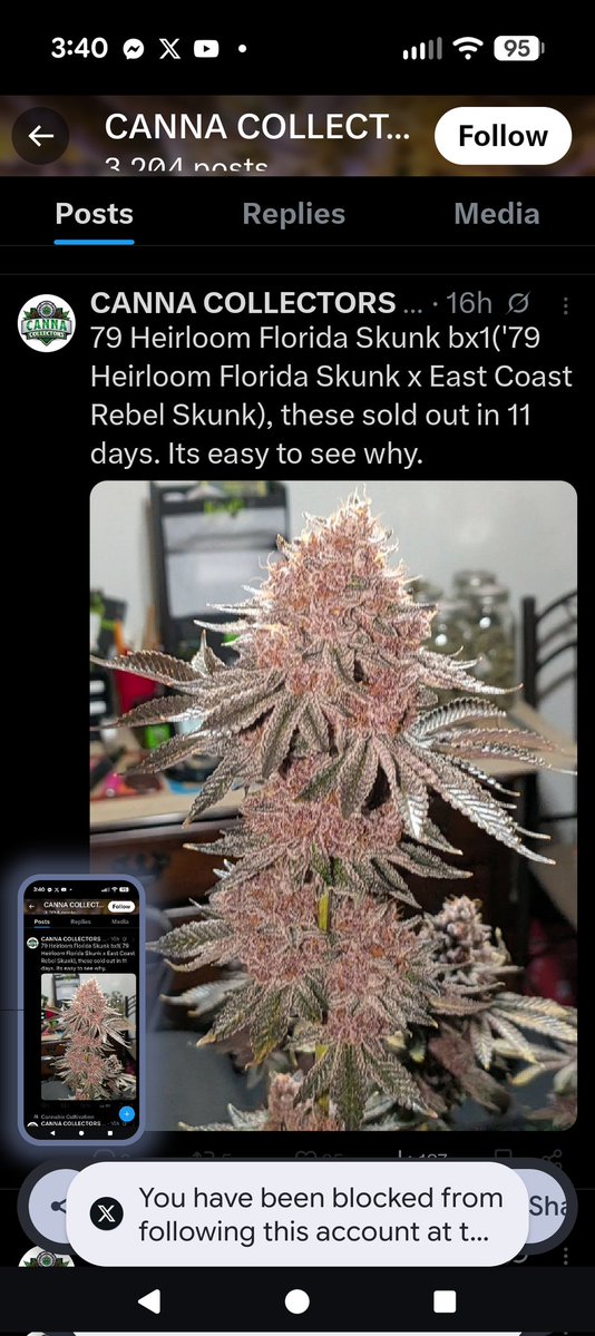 Scott H (Mid Mo Grow) tweet media