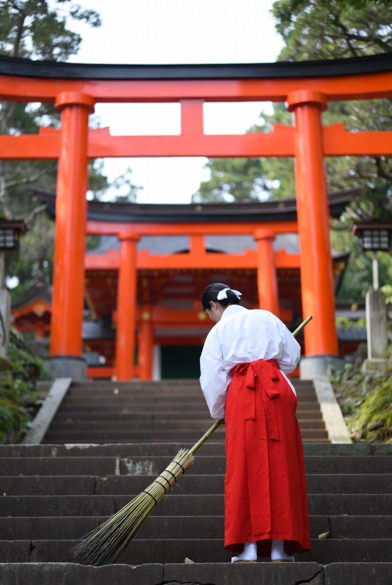 自由になりたい☆まいドン tweet media