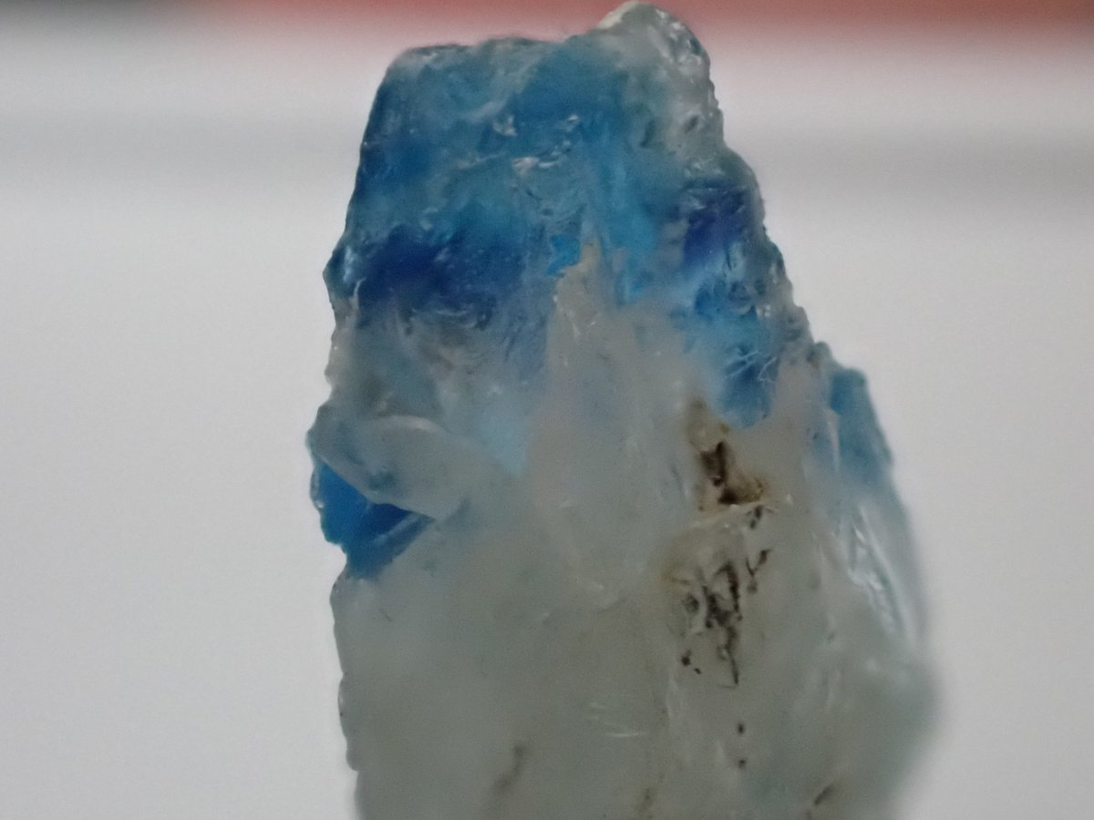 石処たっちゃん tweet media