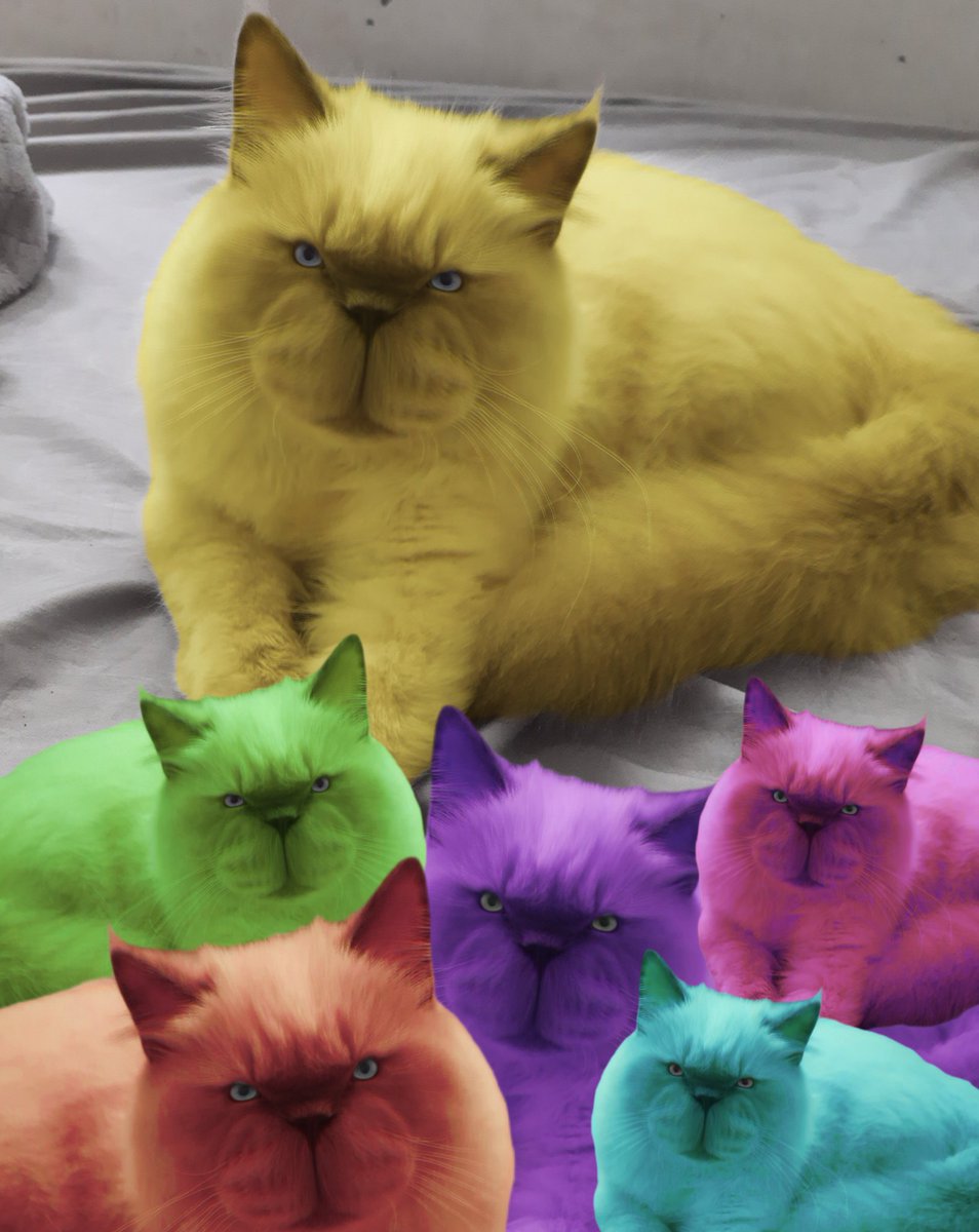 ᗷᗴᗷIᕼ 💤🧸✨ tweet media