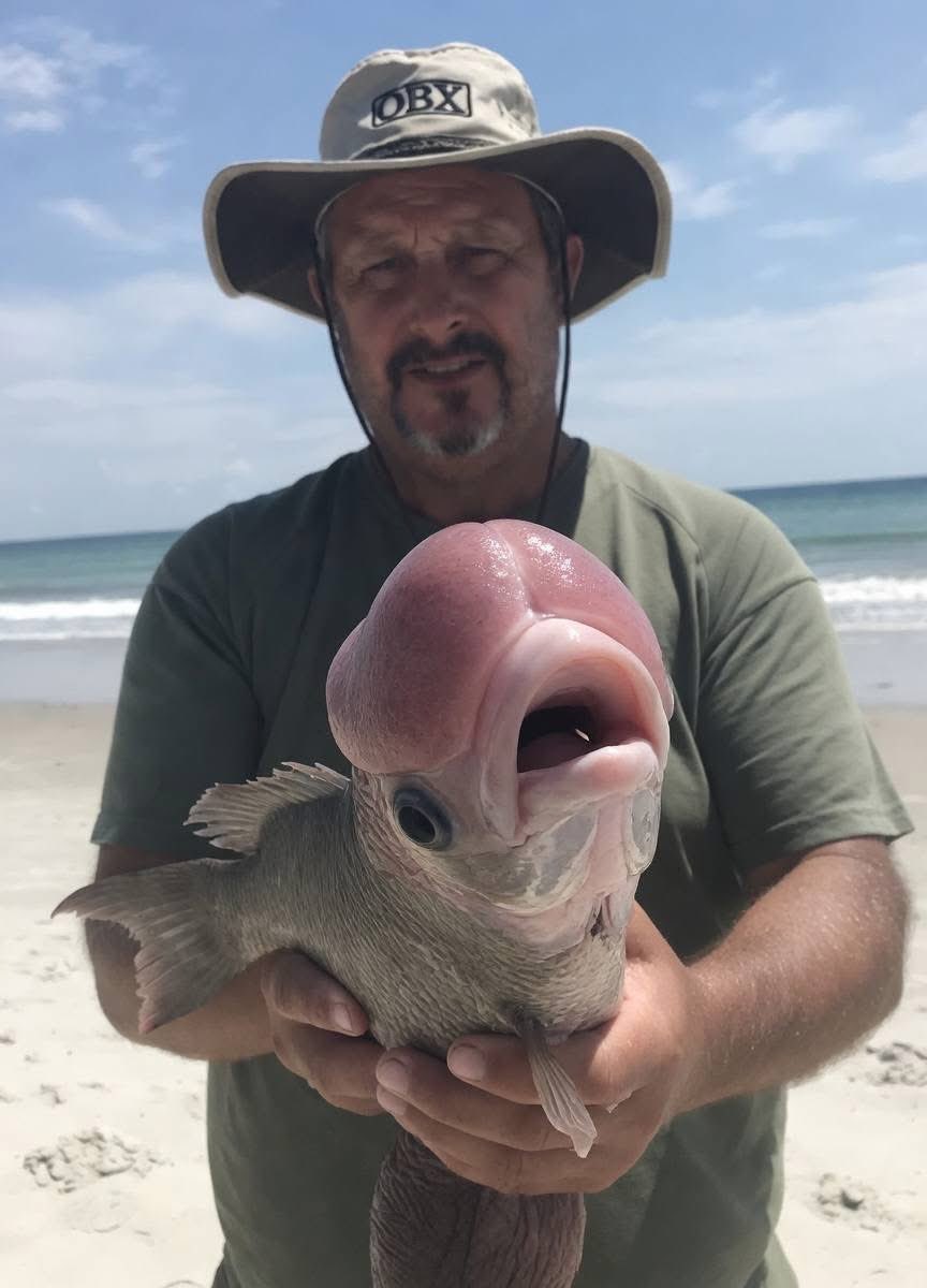 Bhut' uNduuh tweet media