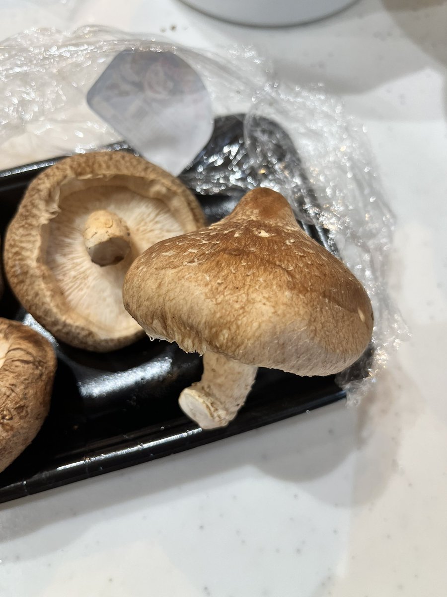 ぺっちゃん子 tweet media