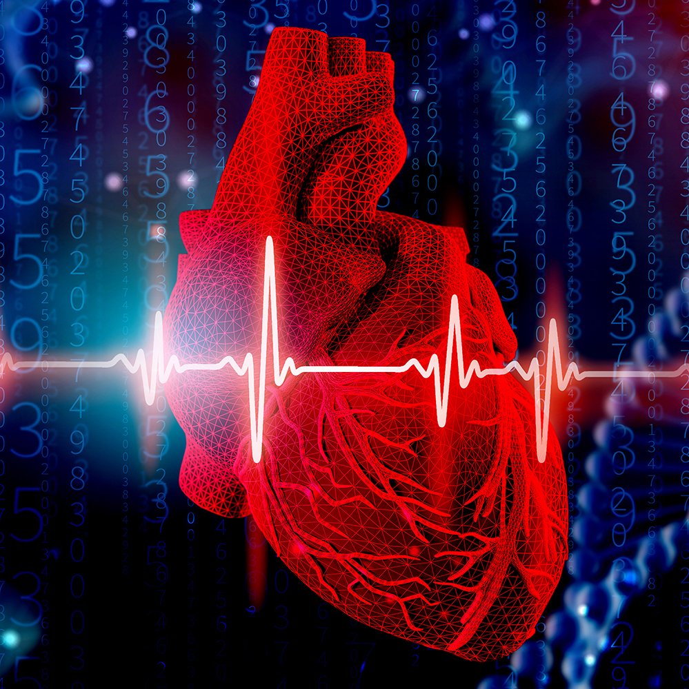 Dipartimento di Biotecnologie e Bioscienze-UNIMIB tweet media