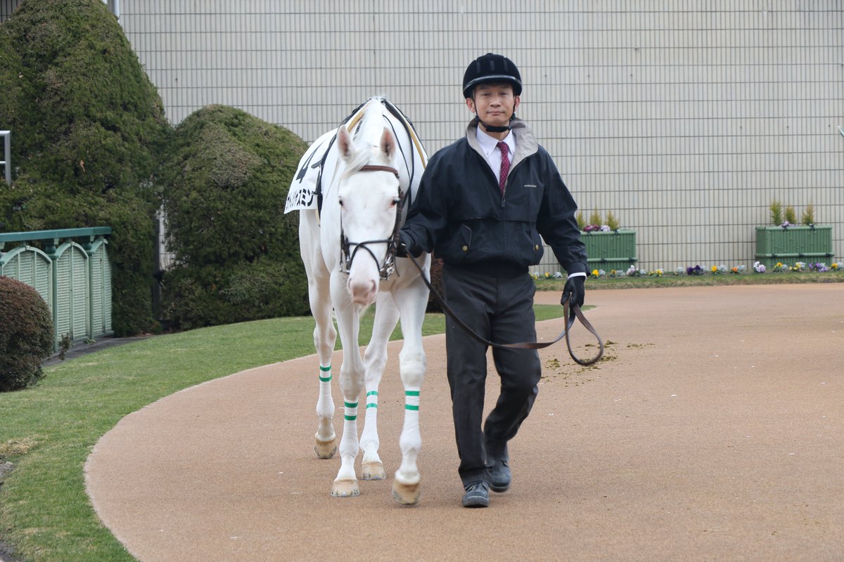 ふわ まさあき tweet media