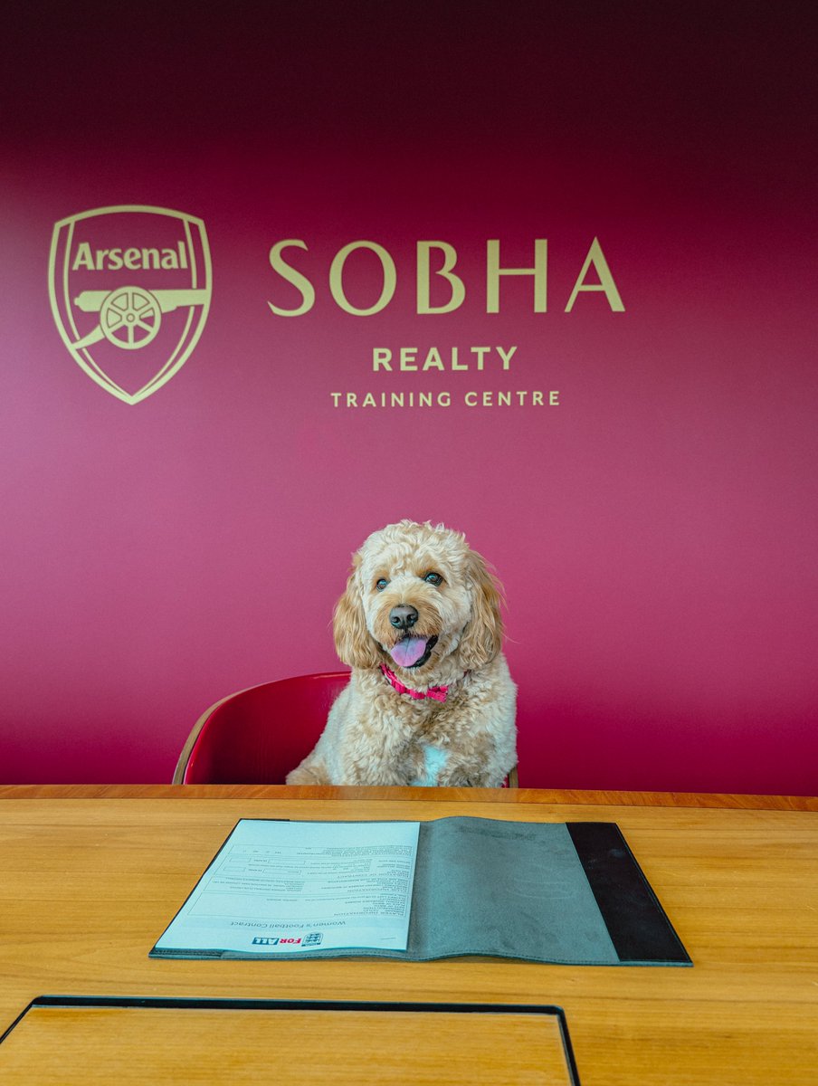 Arsenal Women tweet media