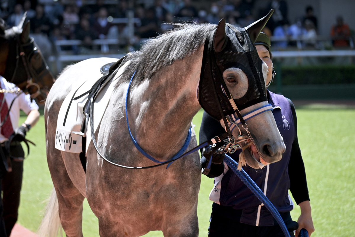 Pere@競馬 tweet media