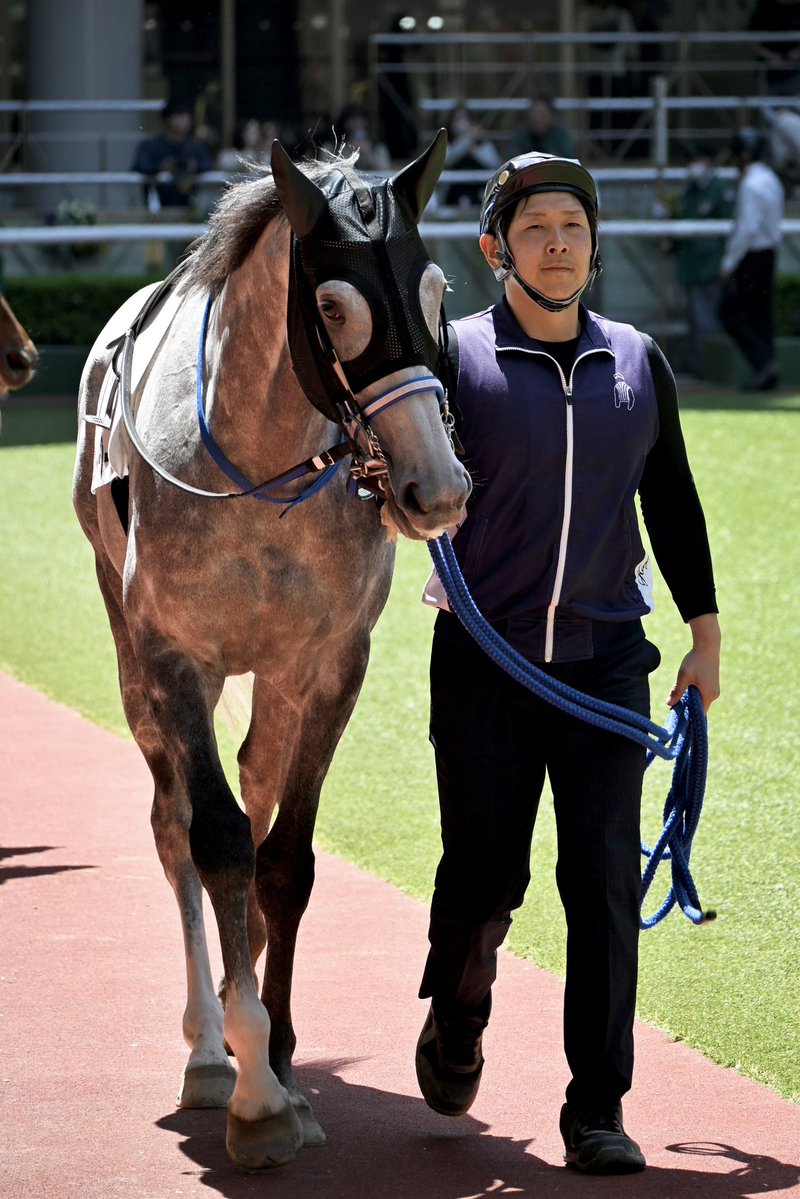 Pere@競馬 tweet media