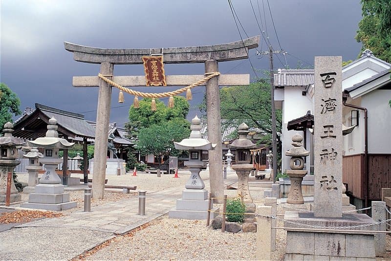 짜장 분석가 tweet media