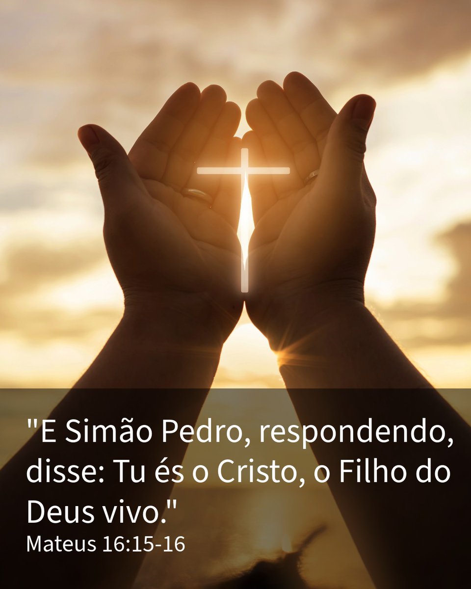 Brasa Viva tweet media