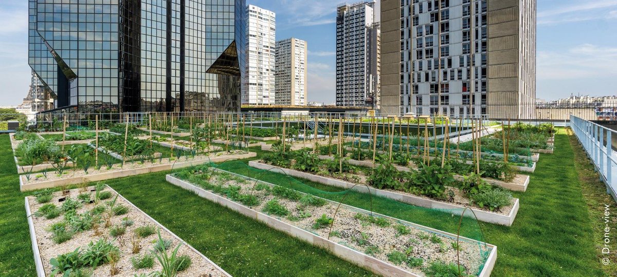 fordbee's tweet image. Big shift in the skyline: @CityofKigali finalized a mandate for new high-rise builds to dedicate 15% of rooftop space to Urban Farming. 🏢 Your future apartment doesn't just come with a view, it comes with a vegetable patch. 🚀🏙️ #UrbanPlanning #GreenKigali #SmartCity #RwOT