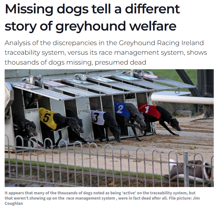 banbloodsports's tweet image. "Too many racing dogs are disappearing": Missing dogs tell a different story of greyhound welfare • "It appears that many of the thousands of dogs noted as being ‘active’ on the traceability system were in fact dead" irishexaminer.com/opinion/commen… #Ireland #BanGreyhoundRacing