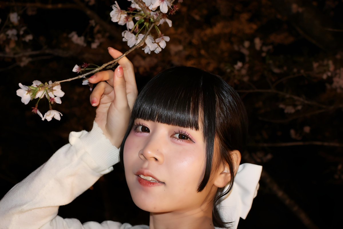 小鳥遊朱寿 #CandyCross #桜 #2026年春 #夜桜 #大宰府