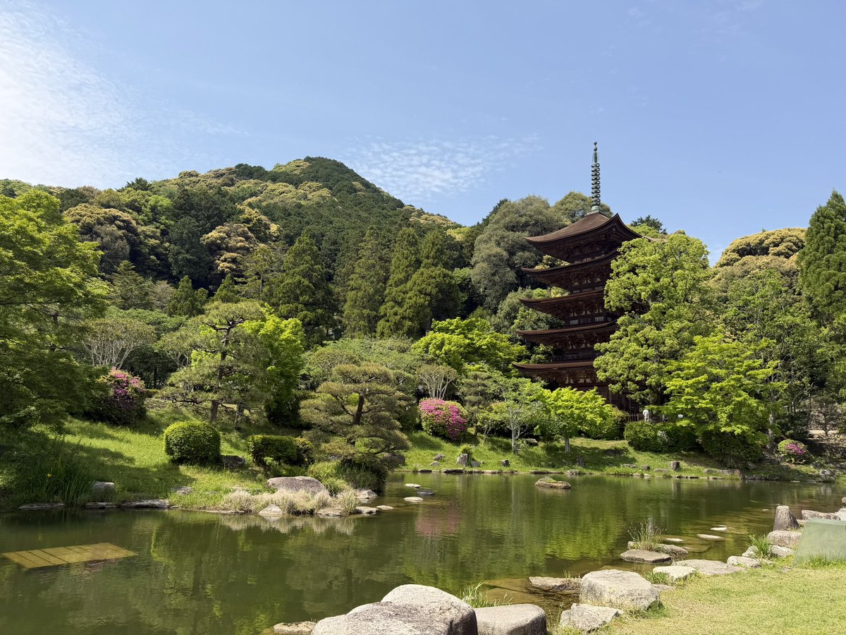 トッモと瑠璃光寺🟢