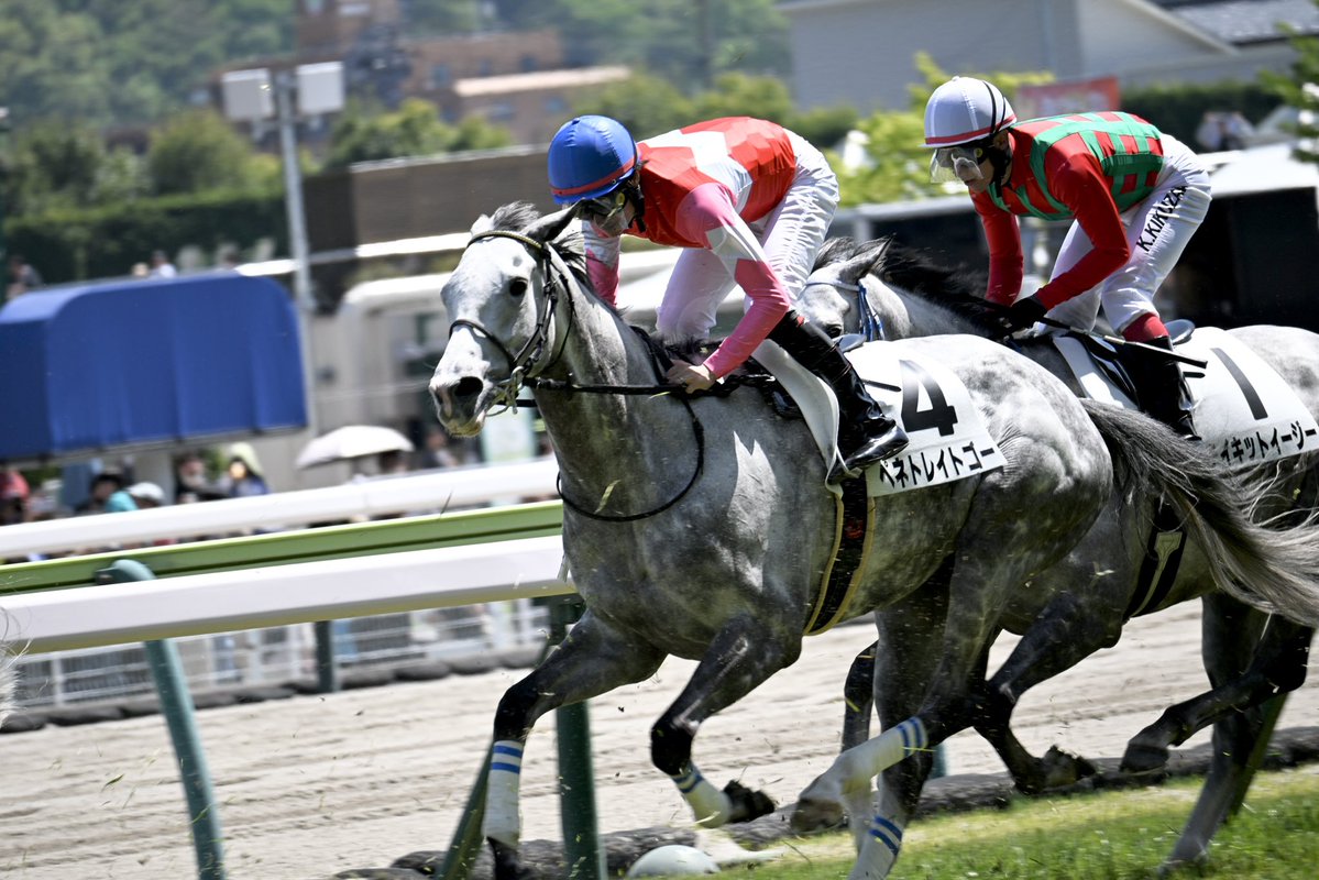 Pere@競馬 tweet media