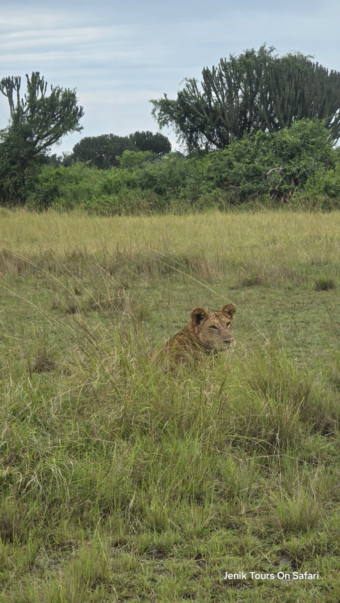 Jenik Tours and Travels Ltd tweet media