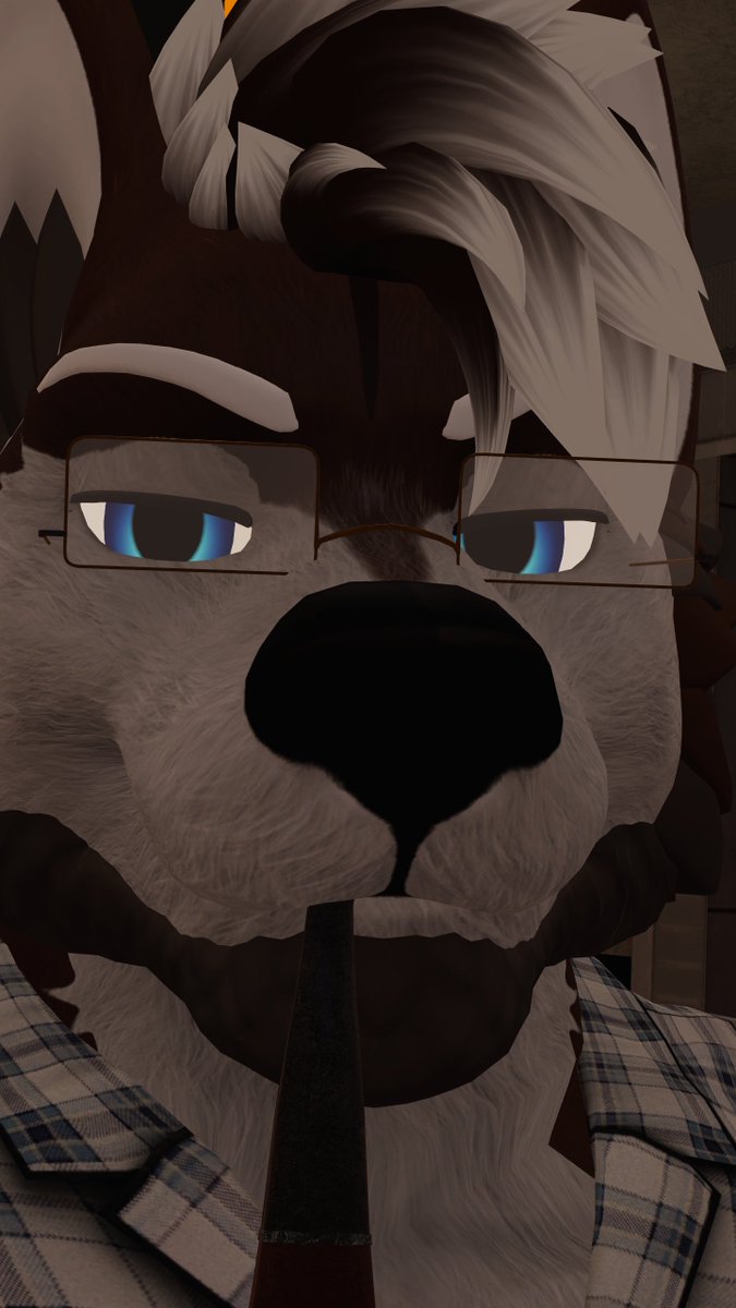 Mocha_Husky tweet media