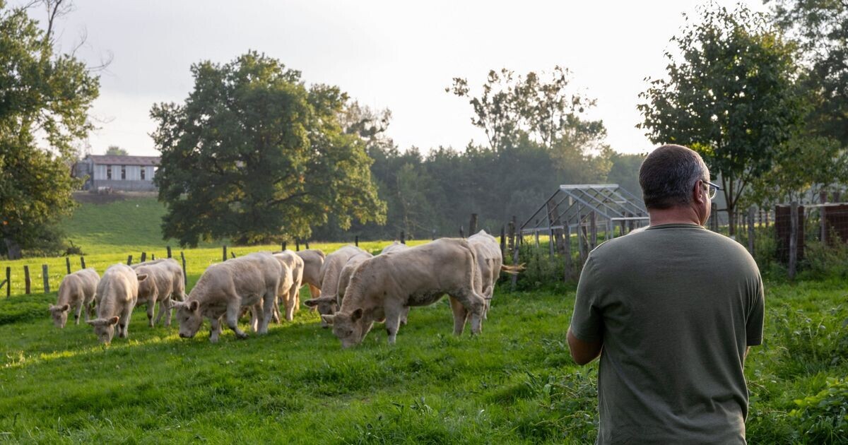 ici_officiel's tweet image. Plus de quatre agriculteurs sur dix gagnent moins que le Smic, selon une nouvelle étude
➡️ l.ici.fr/mztV