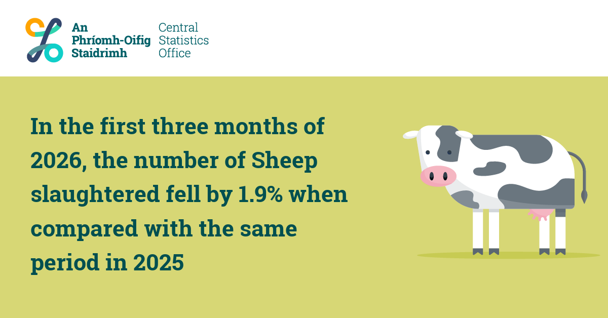 CSOIreland's tweet image. In the first three months of 2026, the number of Sheep slaughtered fell by 1.9% when compared with the same period in 2025
cso.ie/en/releasesand…

#CSOIreland #Ireland #Agriculture #Agribusiness #Farming #Prices #AgPrices #Livestock #Cattle #Sheep #Pigs #Dairy #Milk