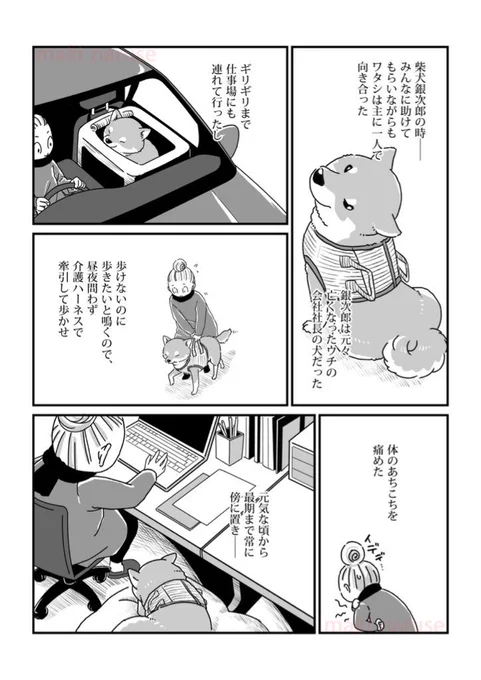 【再掲】「ワタシの人生に とうとう犬がいなくなってしまった」② 