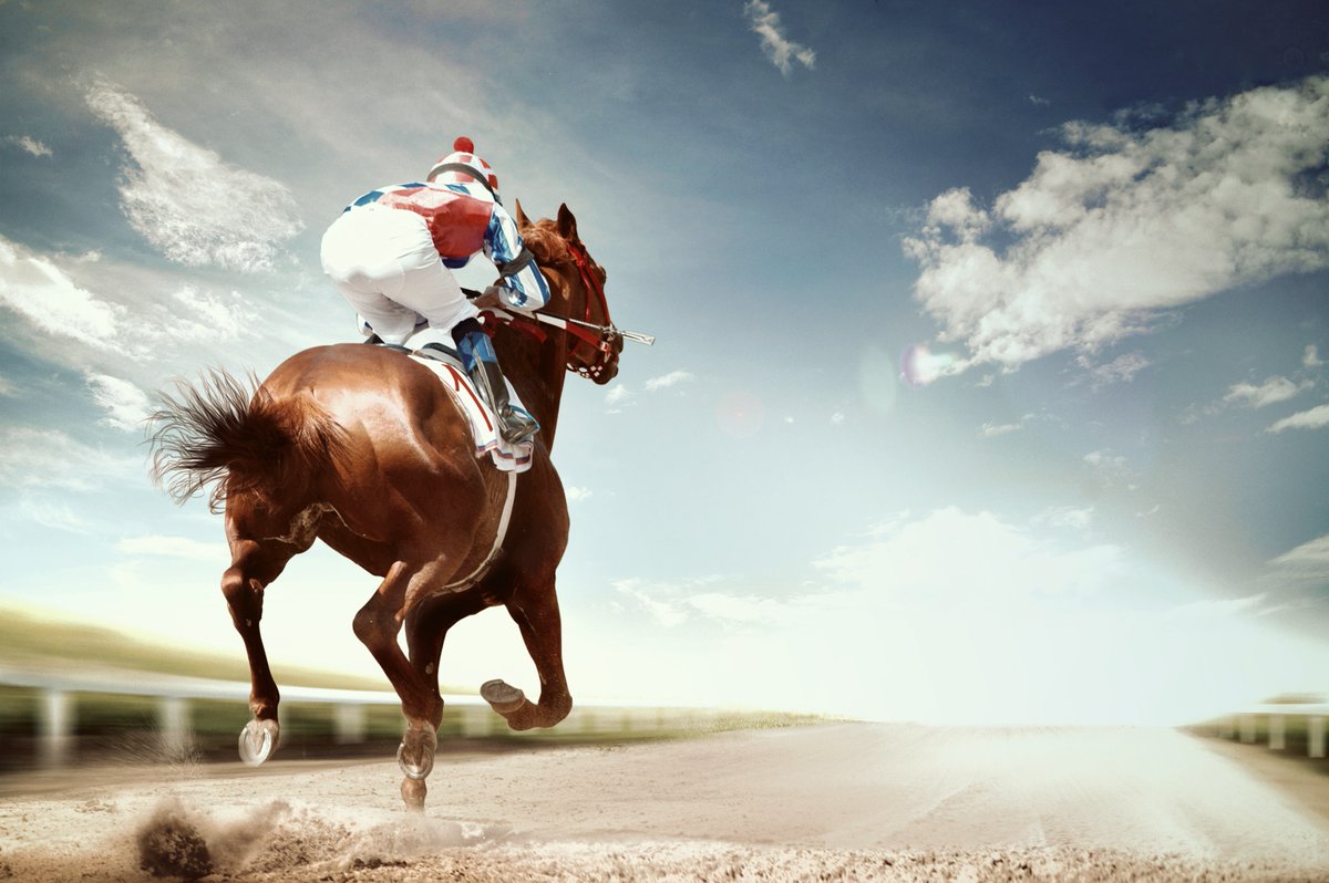 Jonesholidays's tweet image. Discover the thrill of racing and the heritage of the sport of kings on a 3-day escorted coach holiday to Newmarket with Jones Holidays.

17 – 19 July 2026
3 Days from £489

Discover more... booking.jonesholidays.co.uk/Tour/Come-Raci…

#JonesHolidays #CoachHolidays #Newmarket