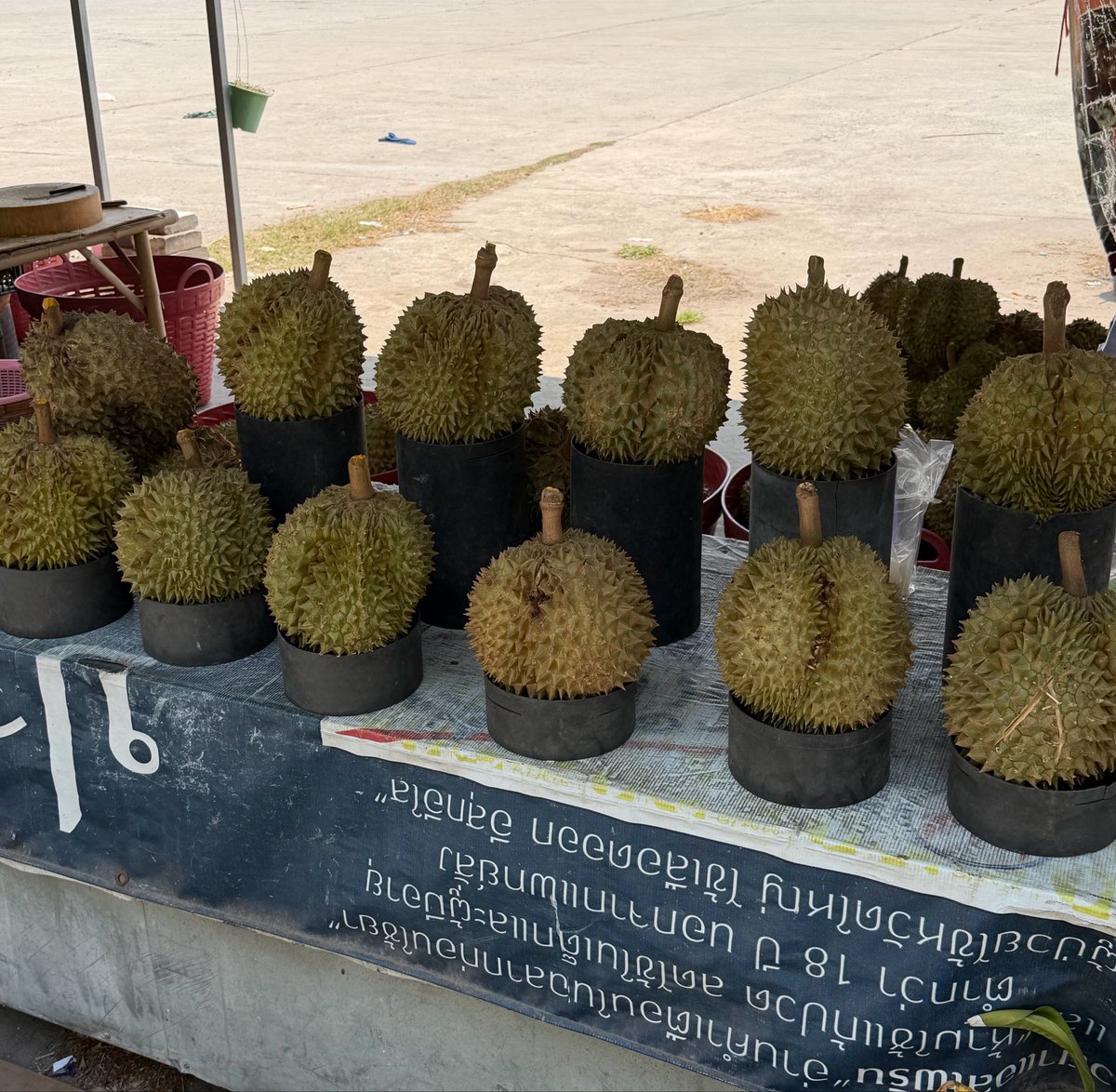 RUN(ルン) tweet media