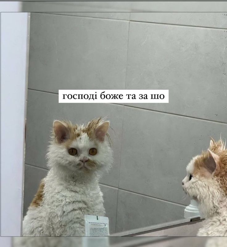 рокові рими tweet media