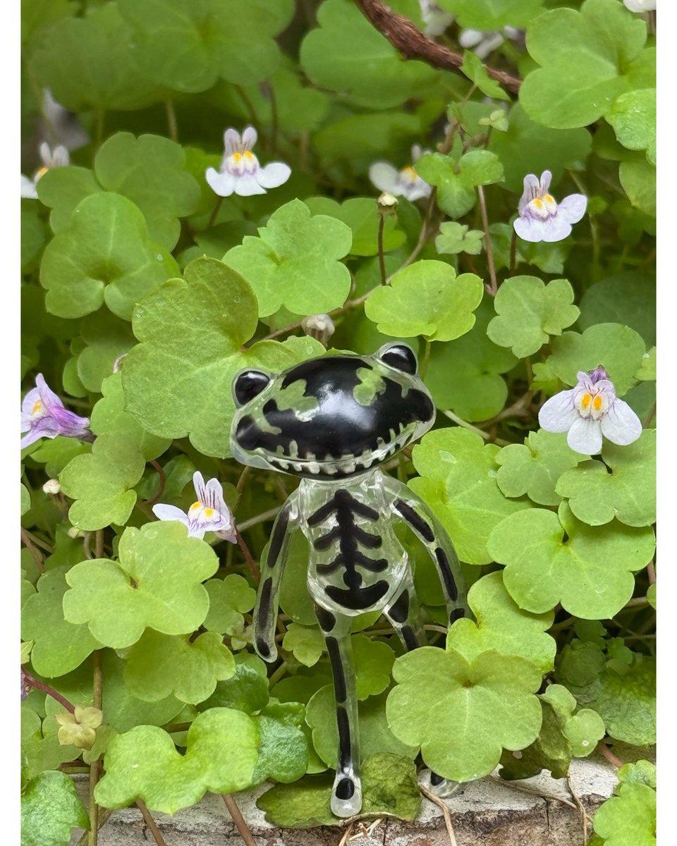 ワンダショップオフィシャル tweet media