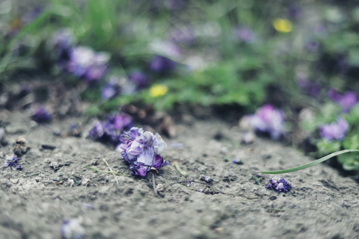 へいじろ tweet media