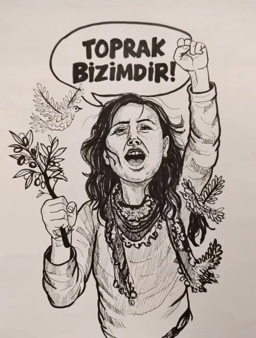 Hasan Akbaba tweet media