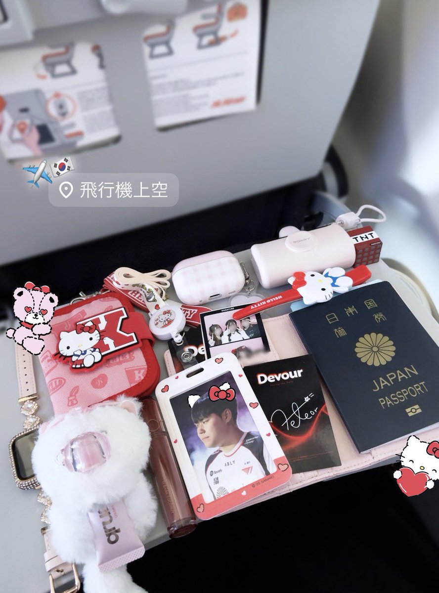 ssrsan__'s tweet photo. 飛行機持ち物フォト✈️📸🍒 https://t.co/DEwmYAi3hK