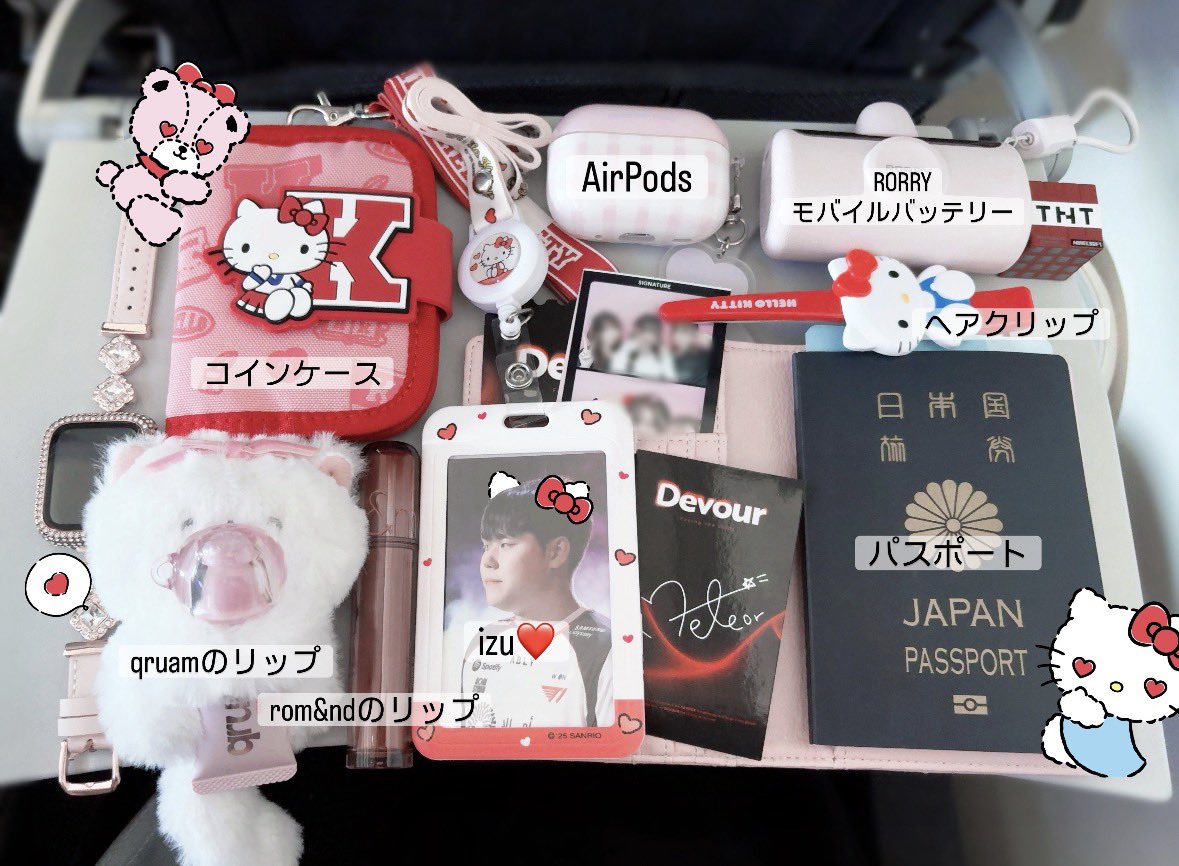 ssrsan__'s tweet photo. 飛行機持ち物フォト✈️📸🍒 https://t.co/DEwmYAi3hK