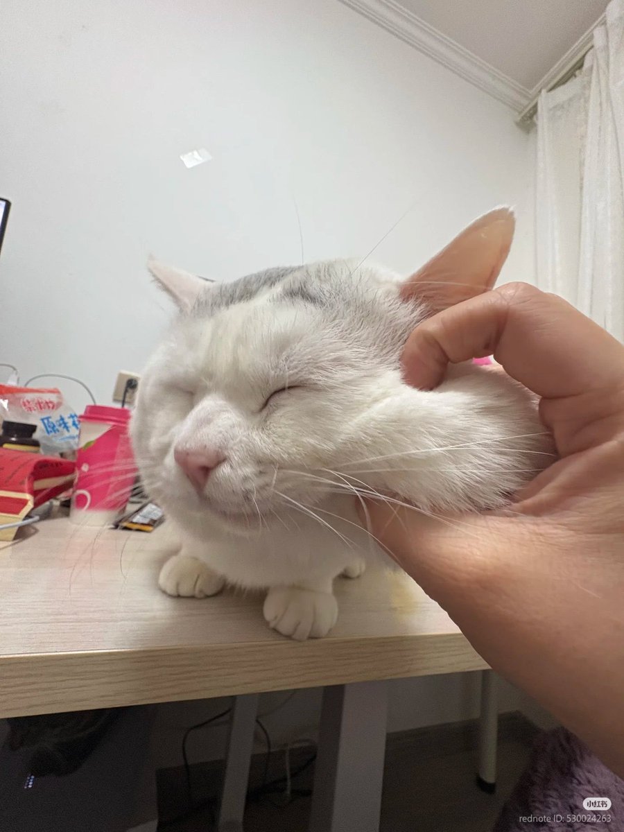 누룽지 (@nung_f1) on Twitter photo 