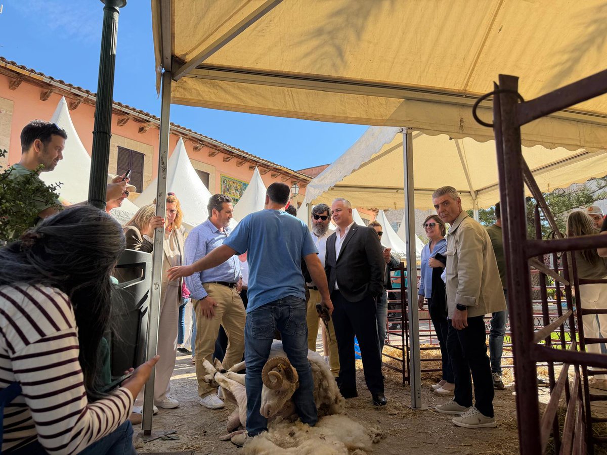 Pedro Bestard Martínez tweet media