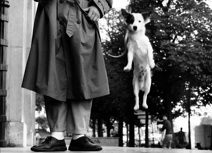 my dog’s life 

               Elliott Erwitt