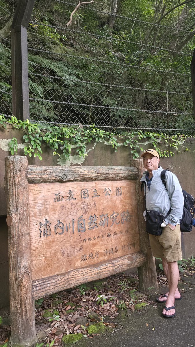 武雄 tweet media