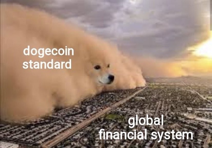 Sir Doge of the Coin ⚔️ tweet media
