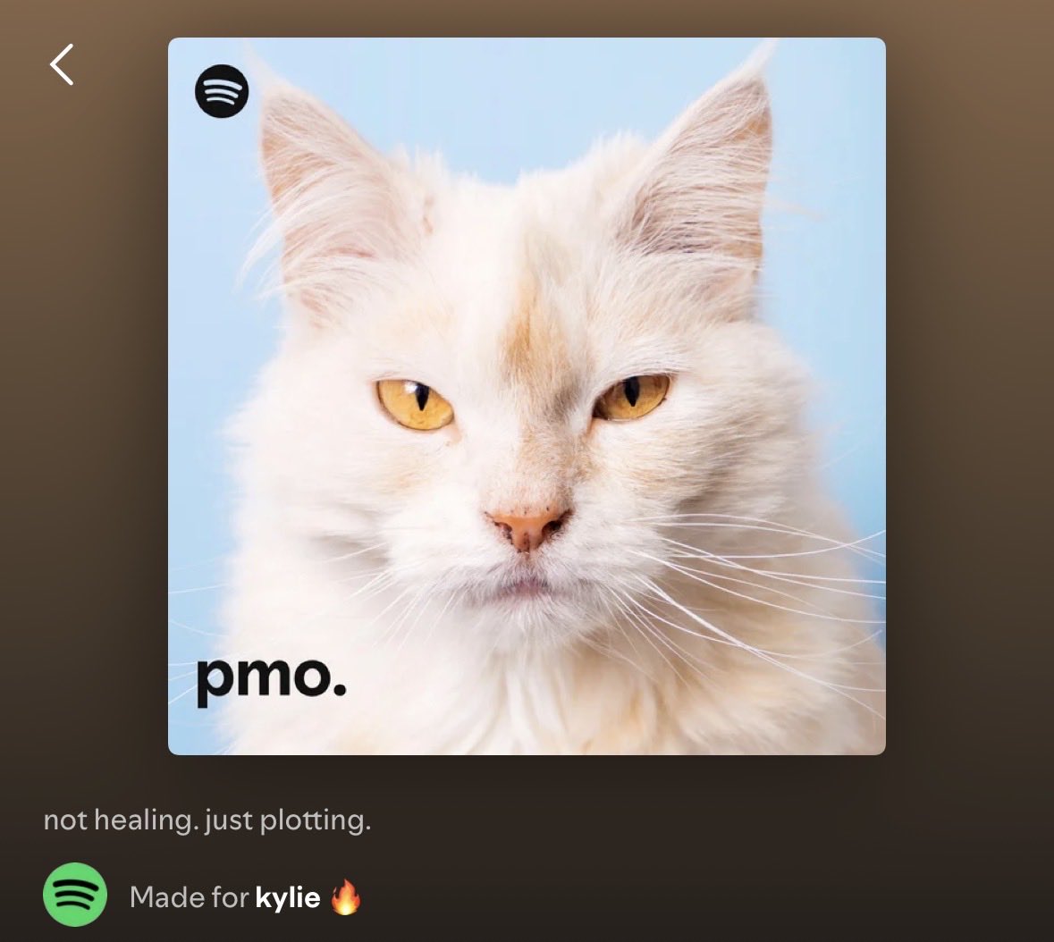 kylie 💋 tweet media