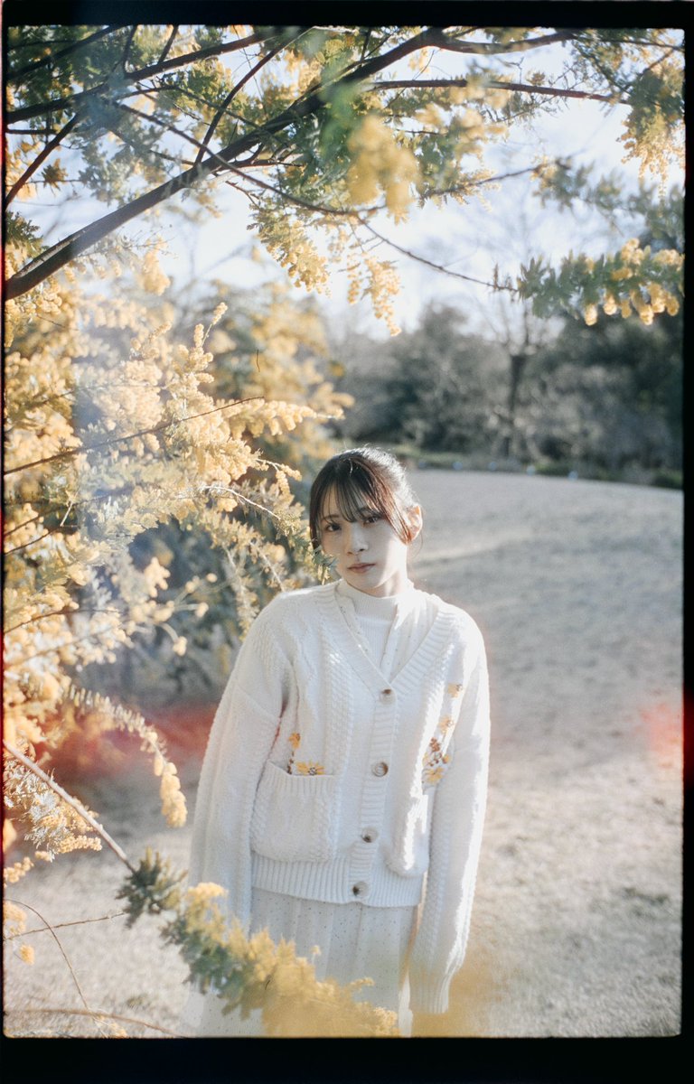 HaRu_Nus's tweet image. Clear #films 

M/ @riotarou12