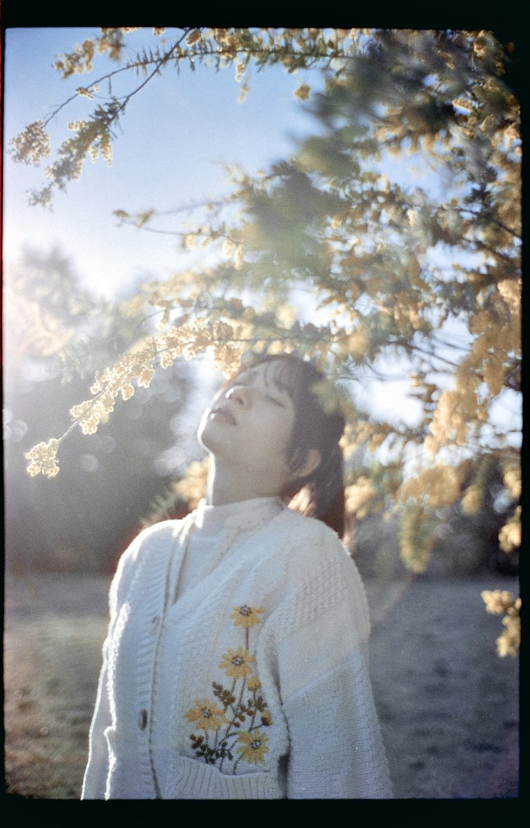 HaRu_Nus's tweet image. Clear #films 

M/ @riotarou12